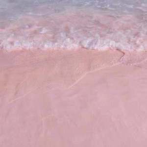 cc微博至尊版舞蹈
